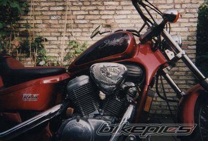Photo 169445