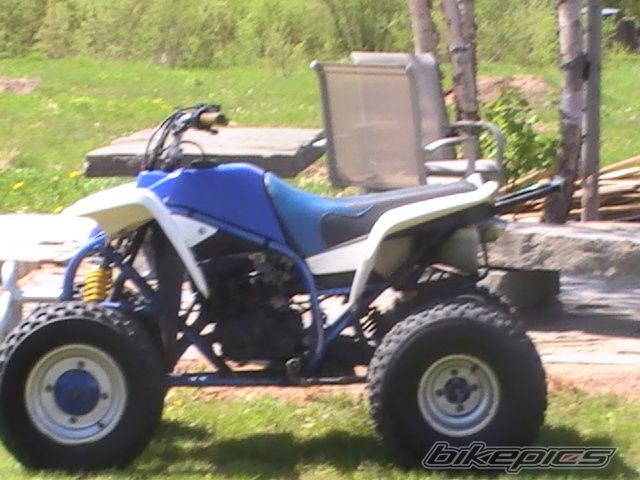 Photo 1694494