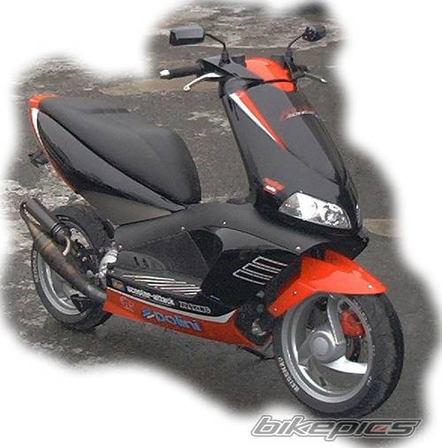 Photo 16946