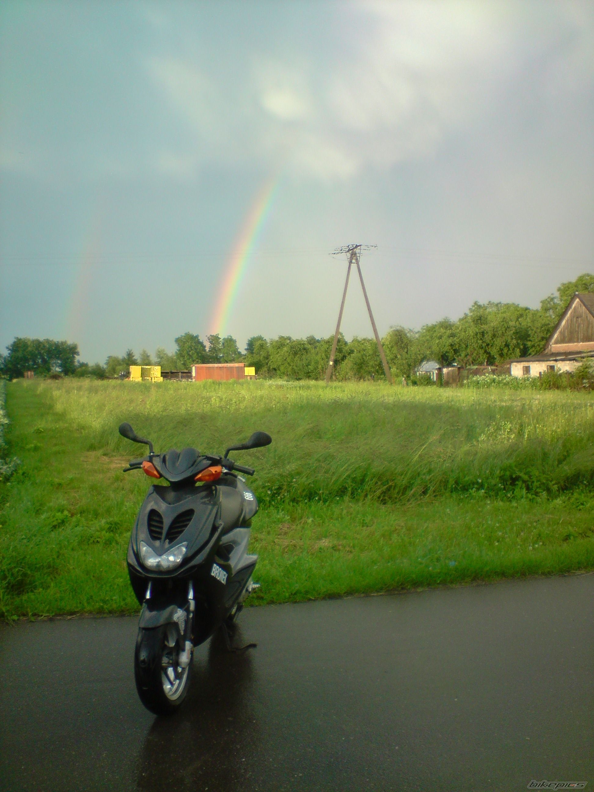 Photo 1695117