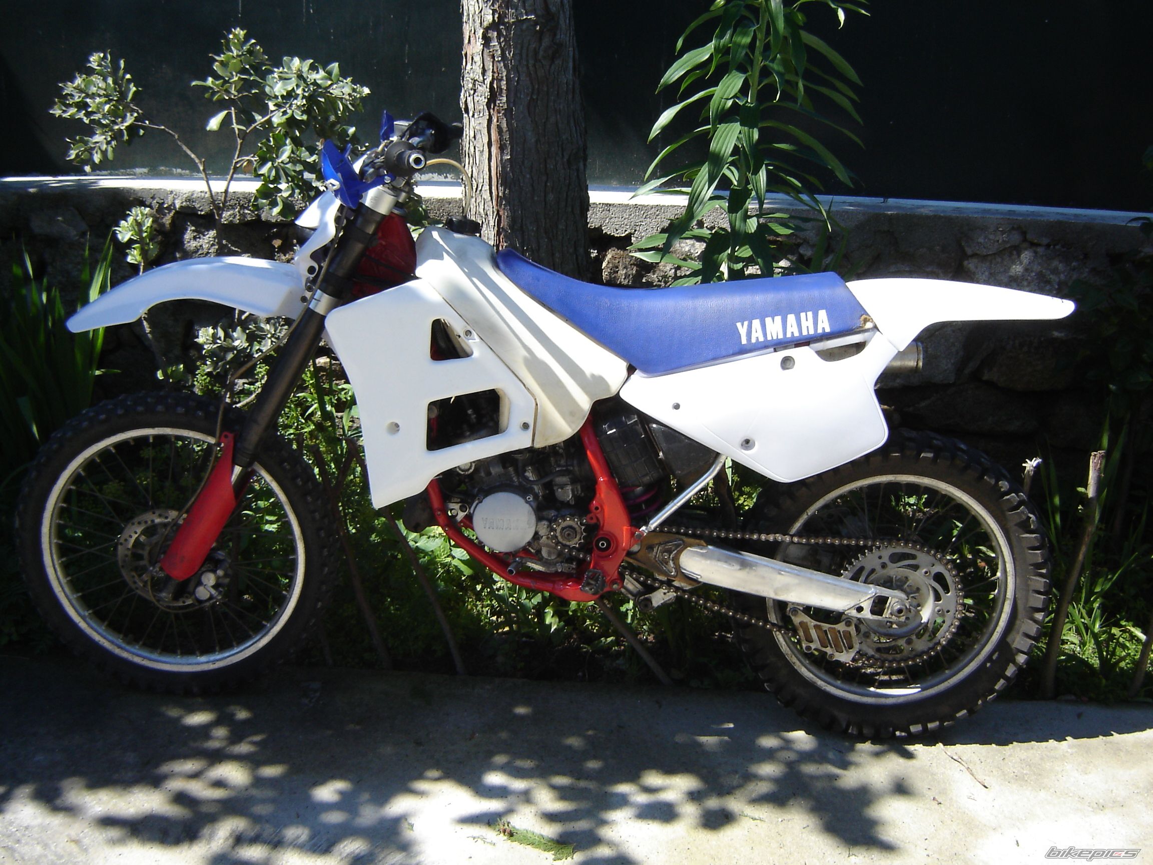 Photo 1695224