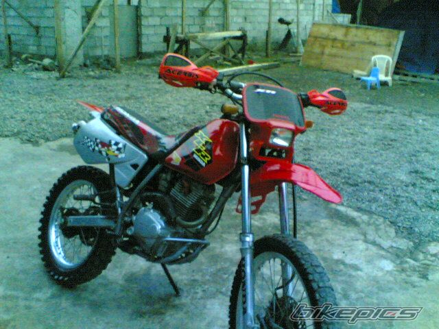 Photo 1695313