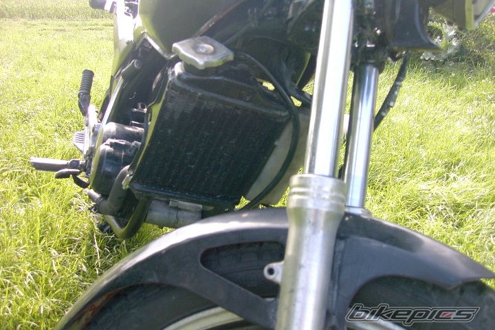 Photo 1695388