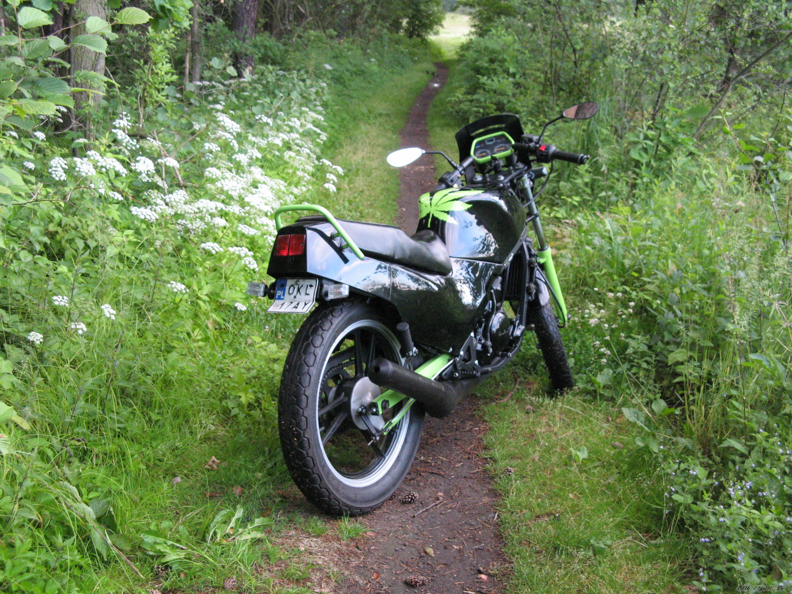 Photo 1695461