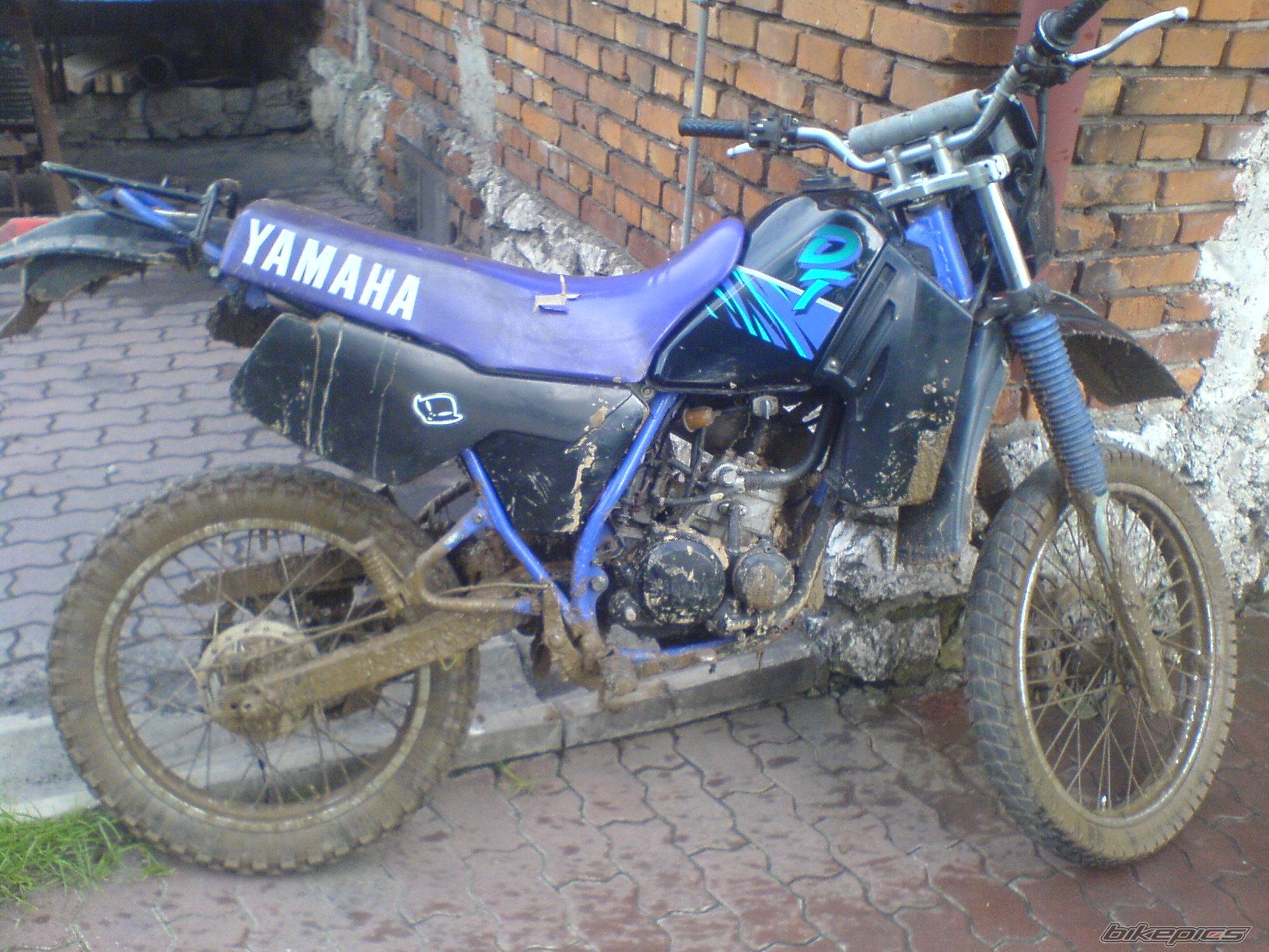 Photo 1695463