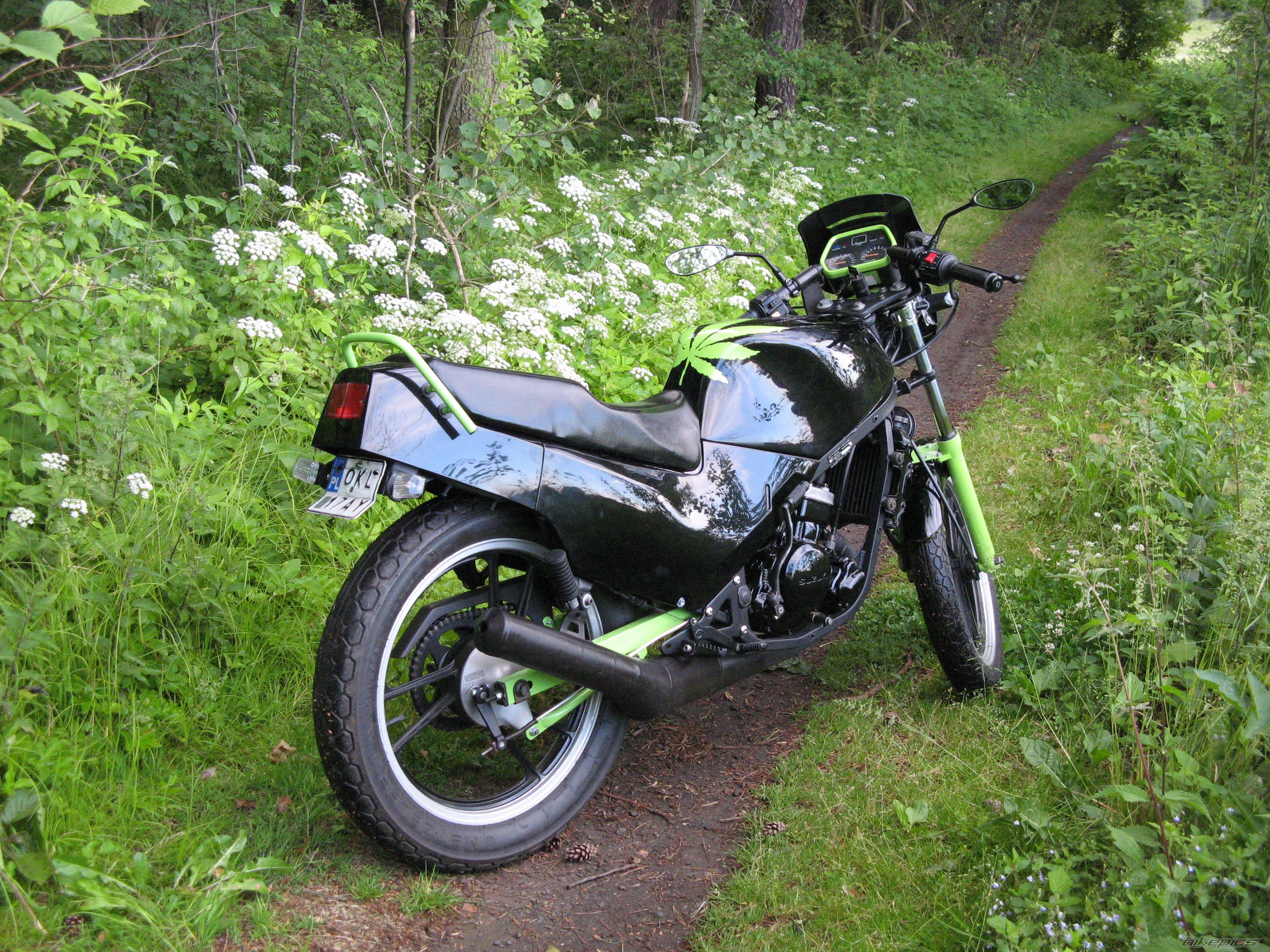 Photo 1695464