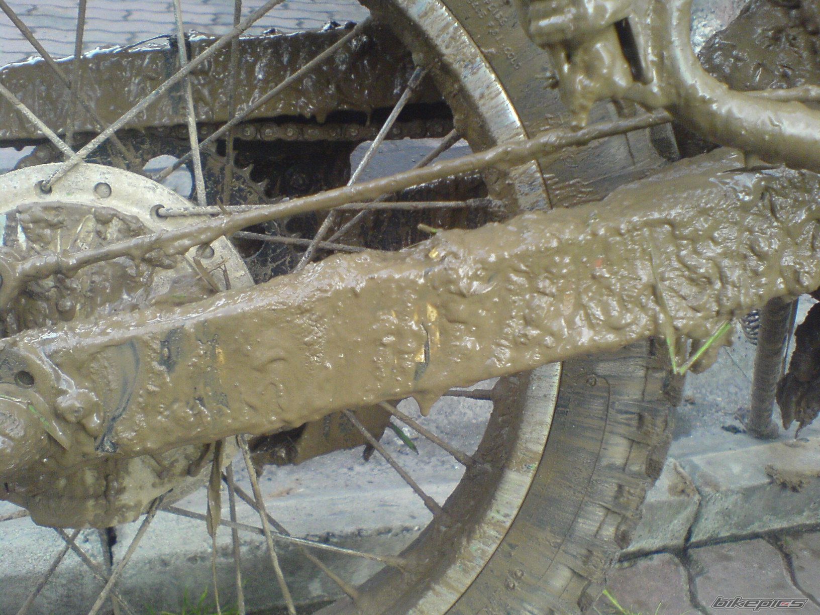 Photo 1695465