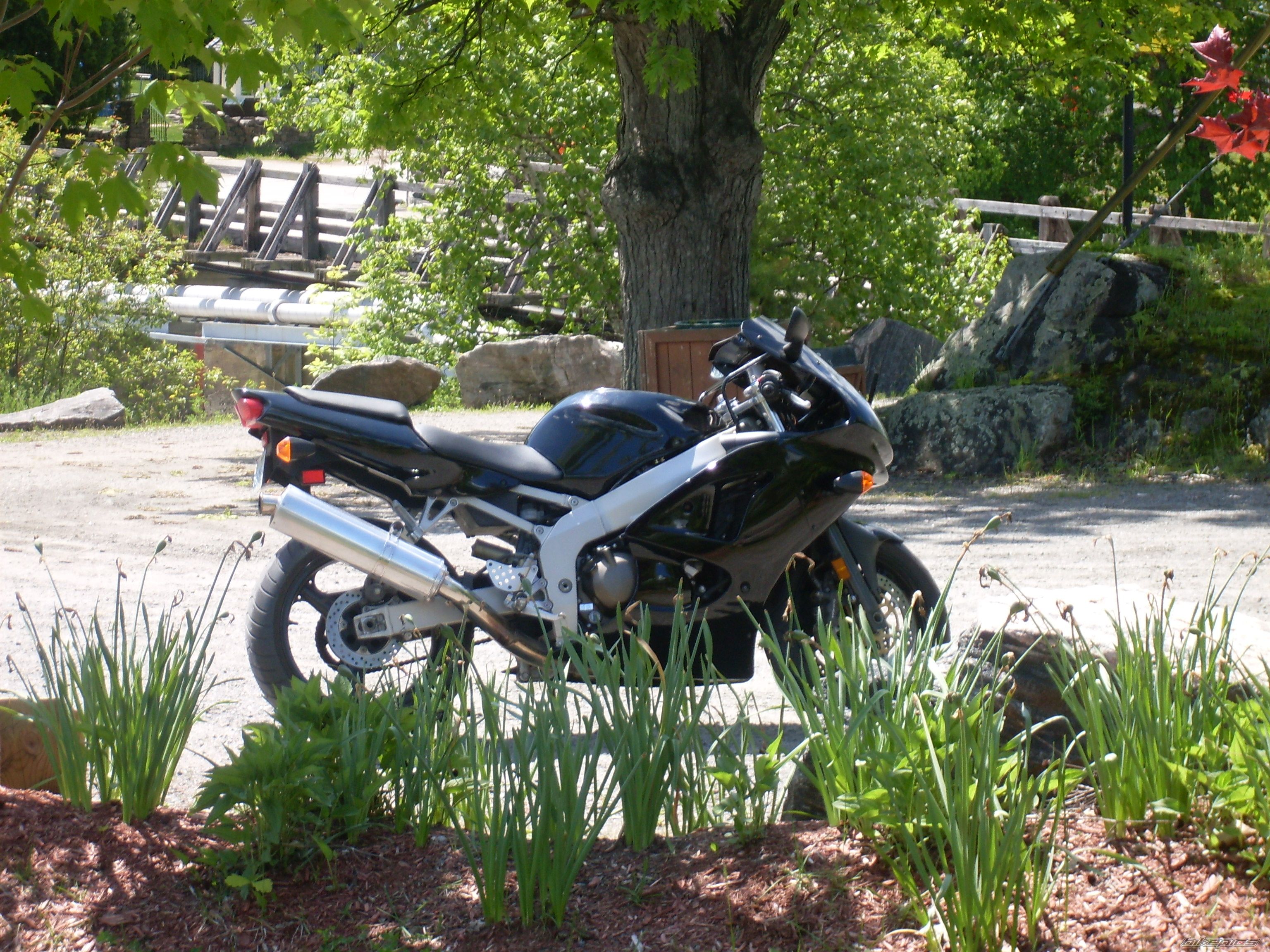 Photo 1695517