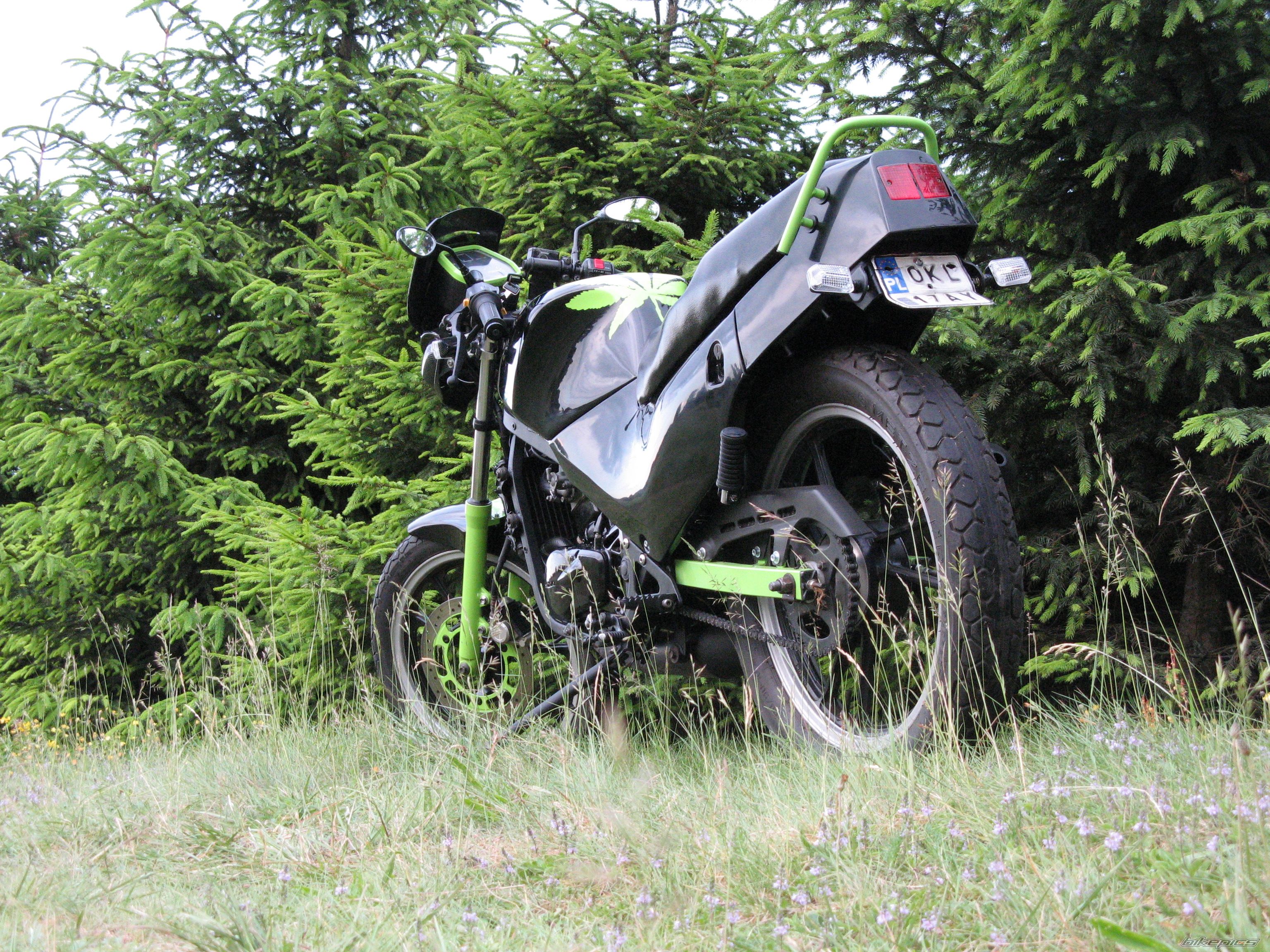 Photo 1695563