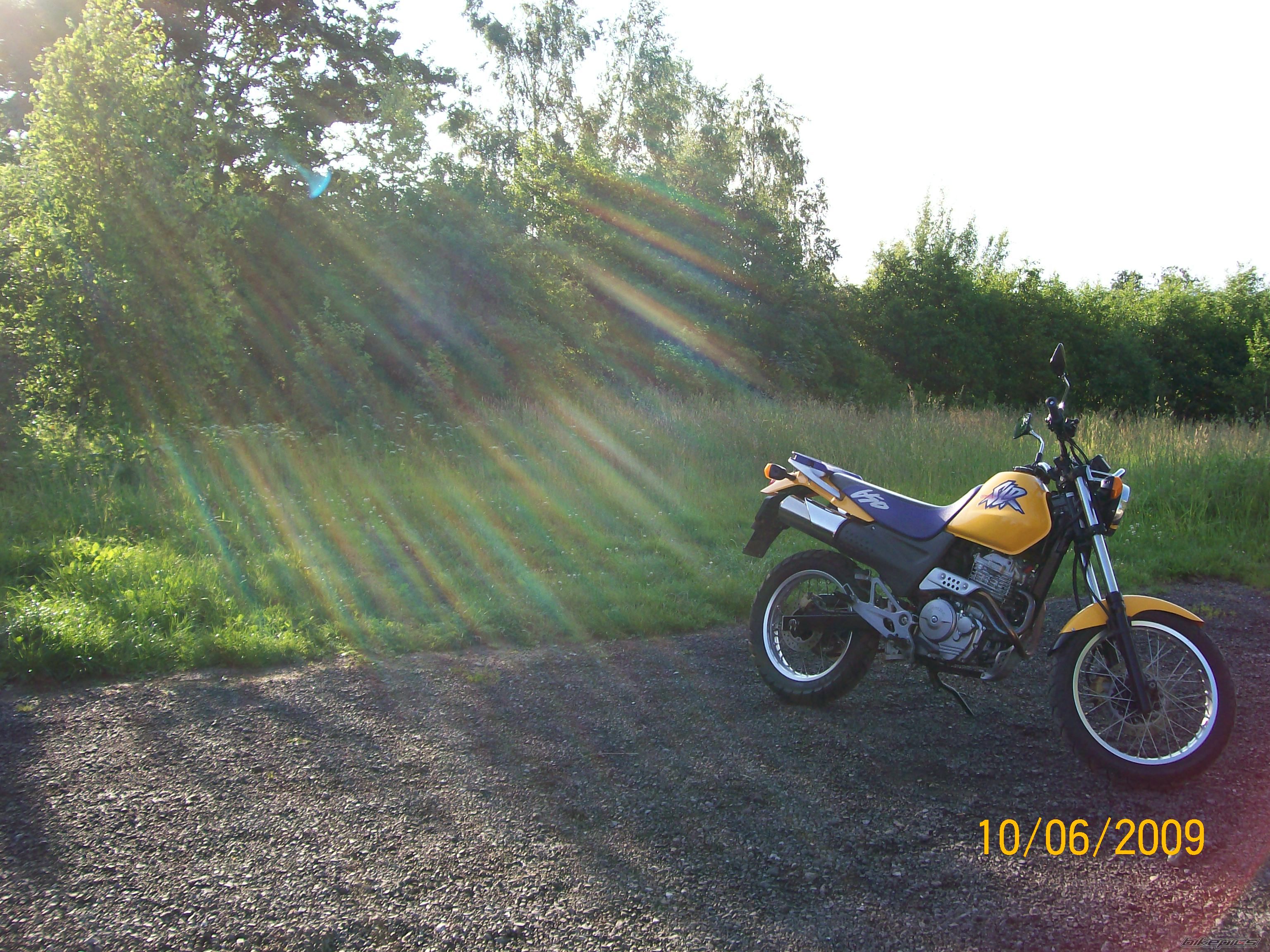 Photo 1695586