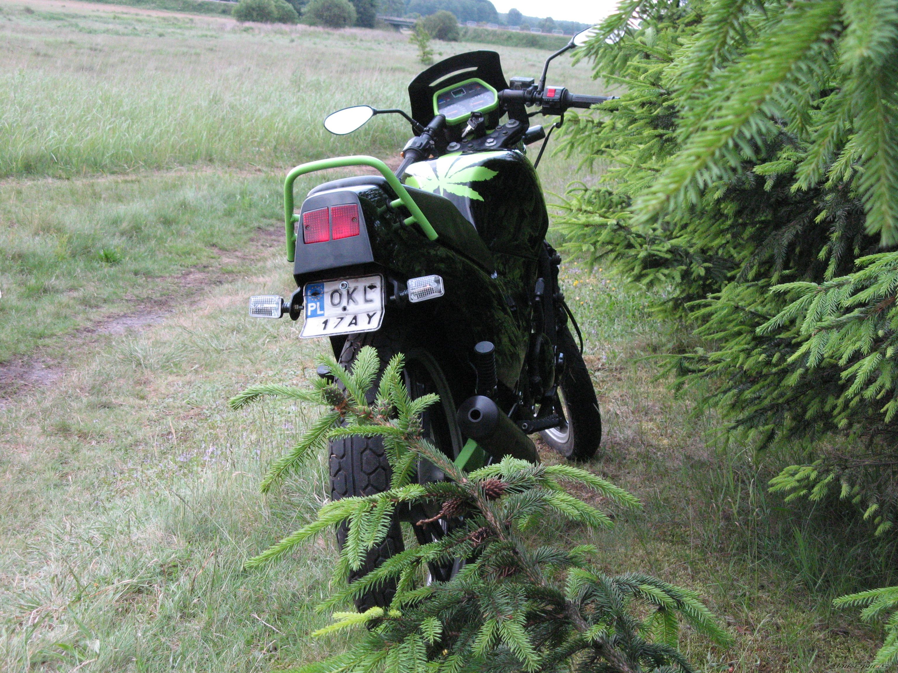 Photo 1695594