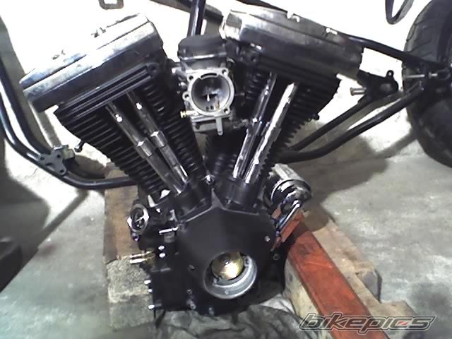 Photo 1695677
