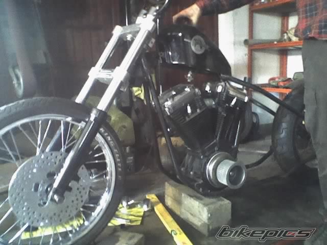 Photo 1695678