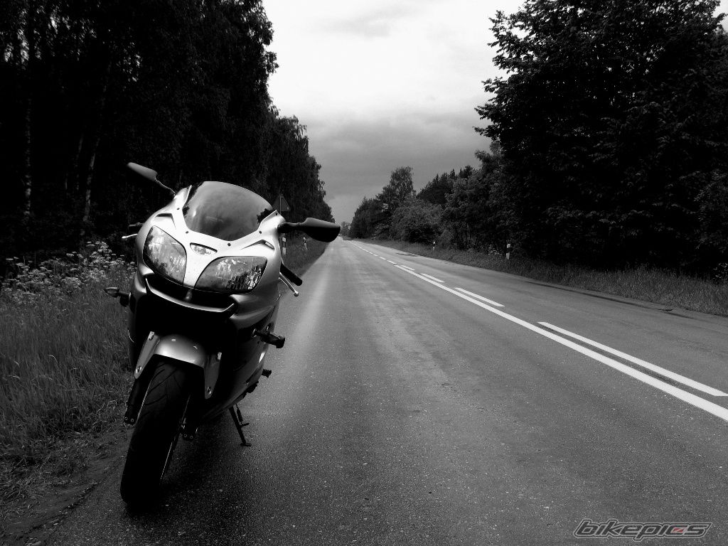 Photo 1695681