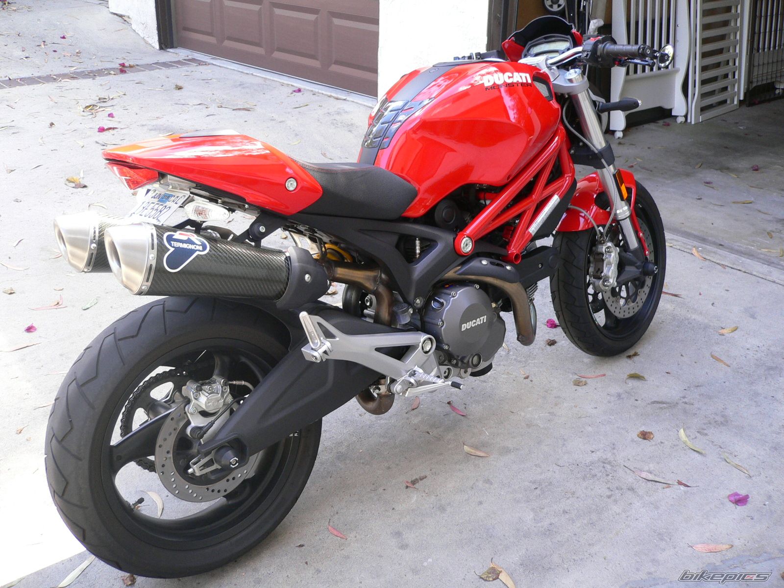 Photo 1695745
