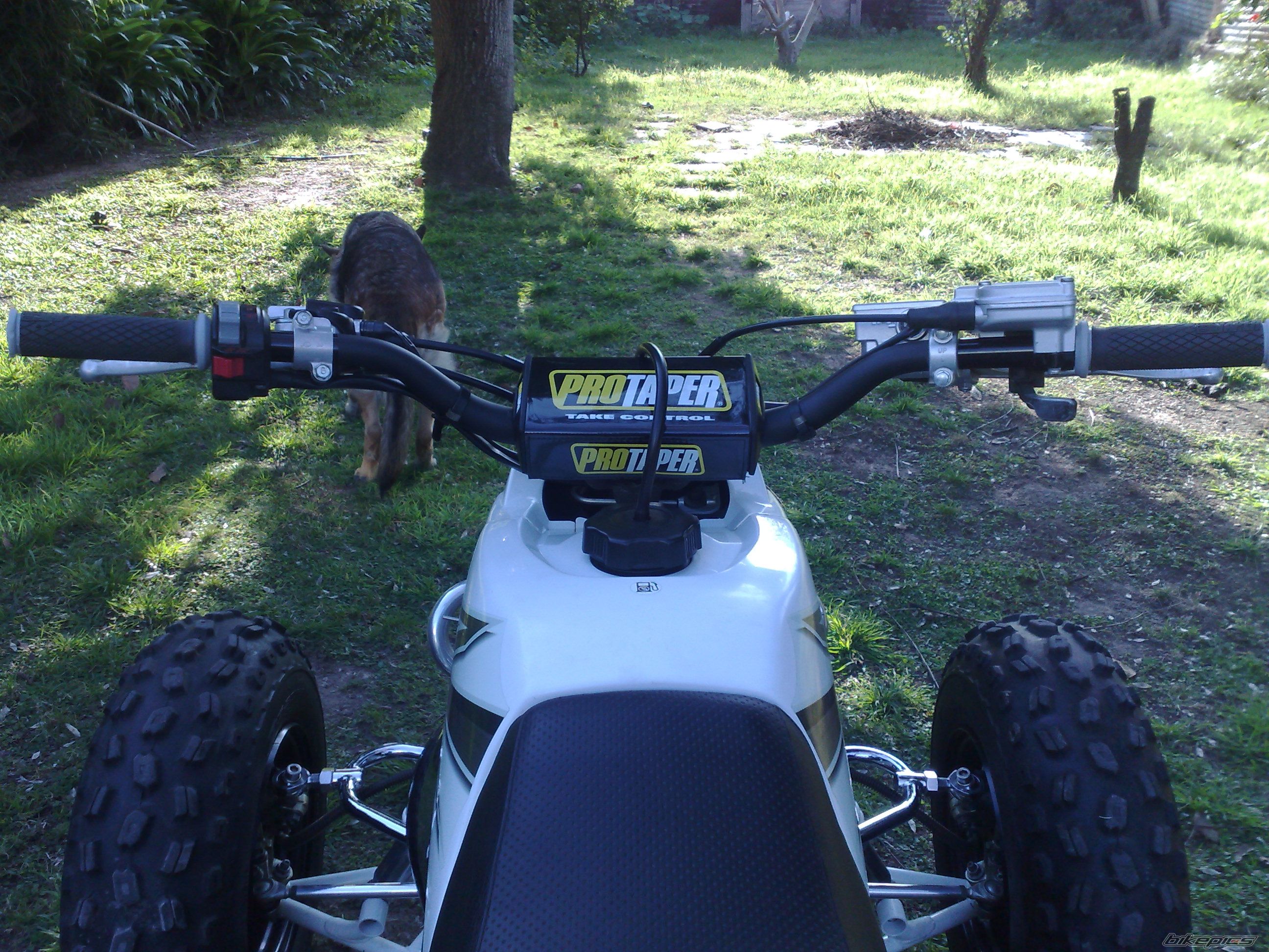 Photo 1695764