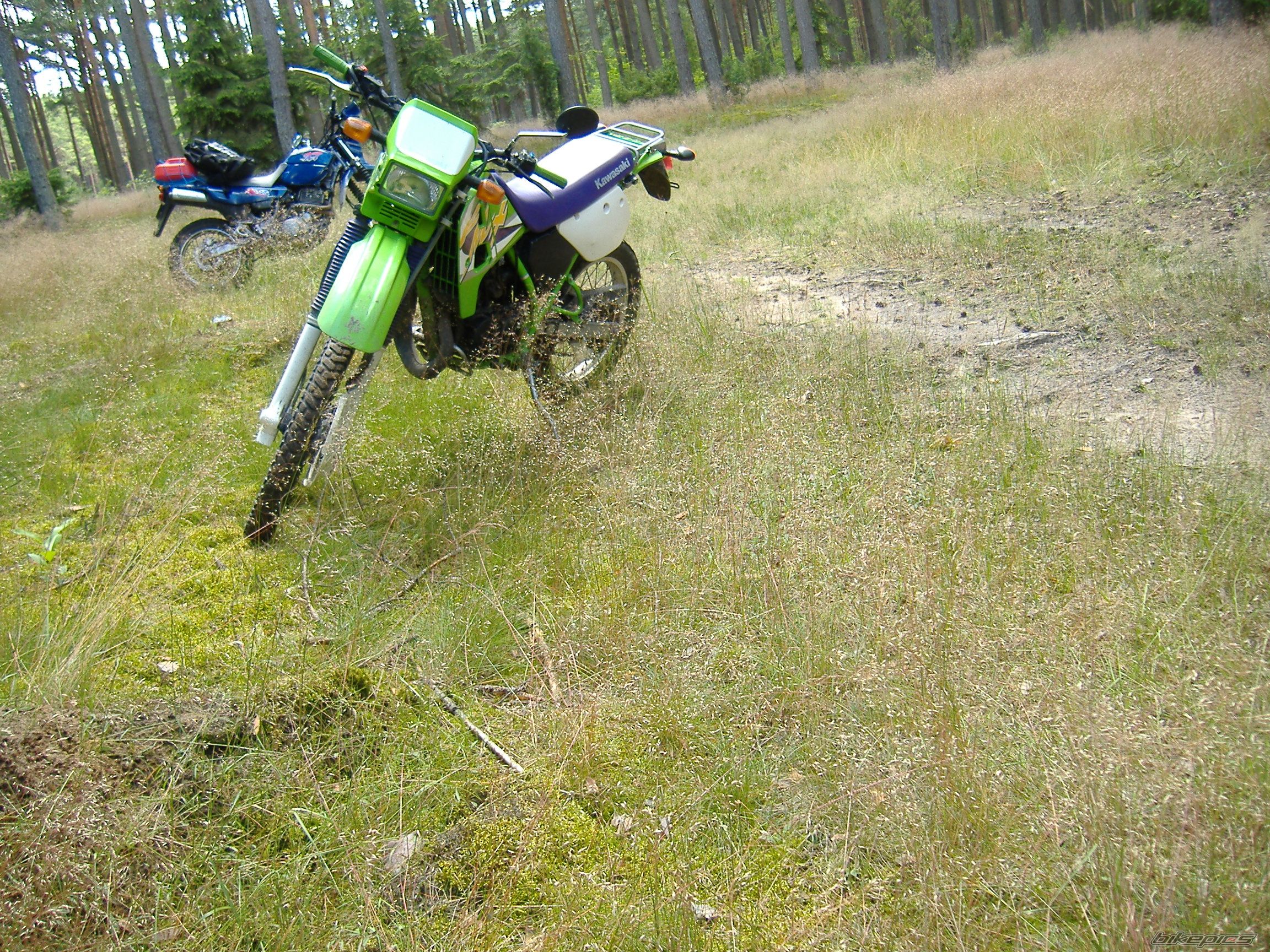 Bike Photo 1695788