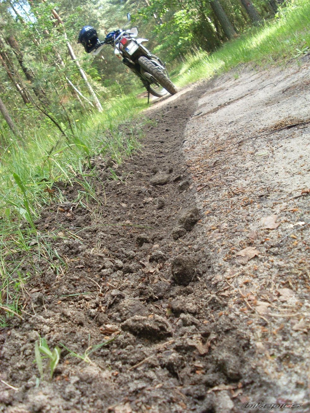 Bike Photo 1695949