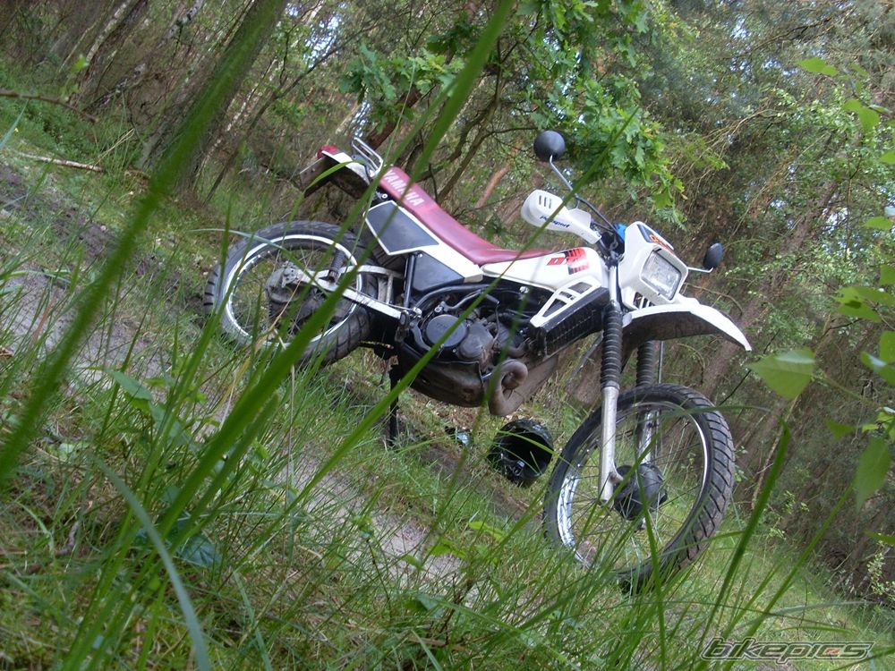 Bike Photo 1695955