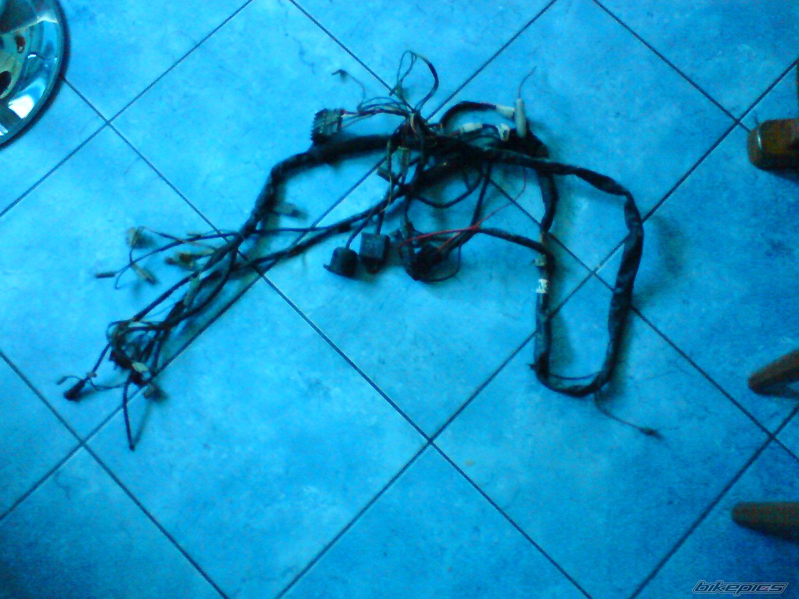 Photo 1696358