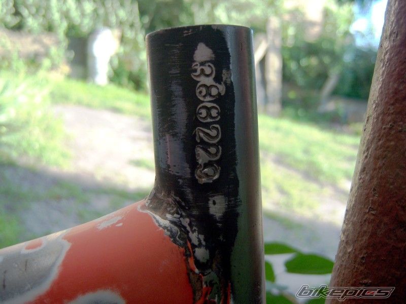 Photo 1696420