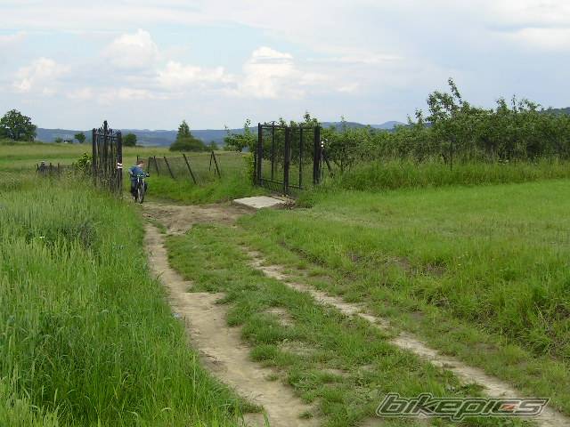 Photo 169652