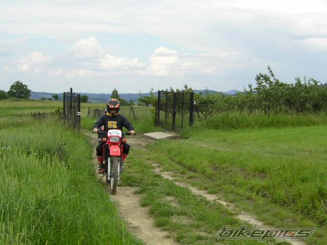 Bike Photo 169653