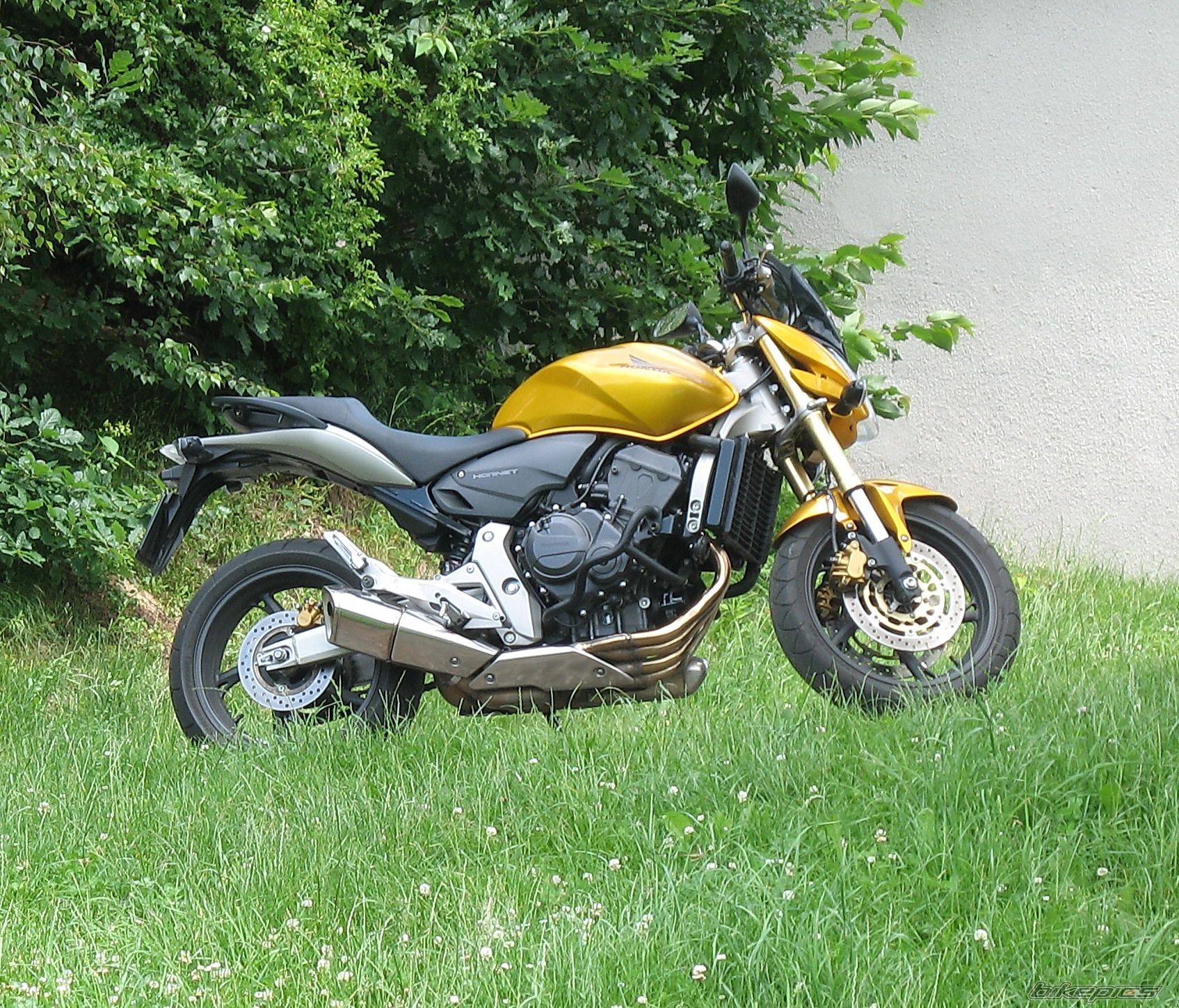 Photo 1696553