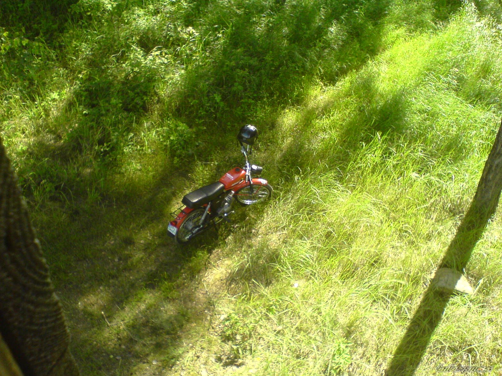 Photo 1696569