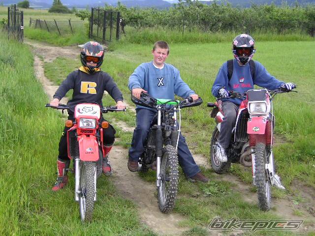 Photo 169658