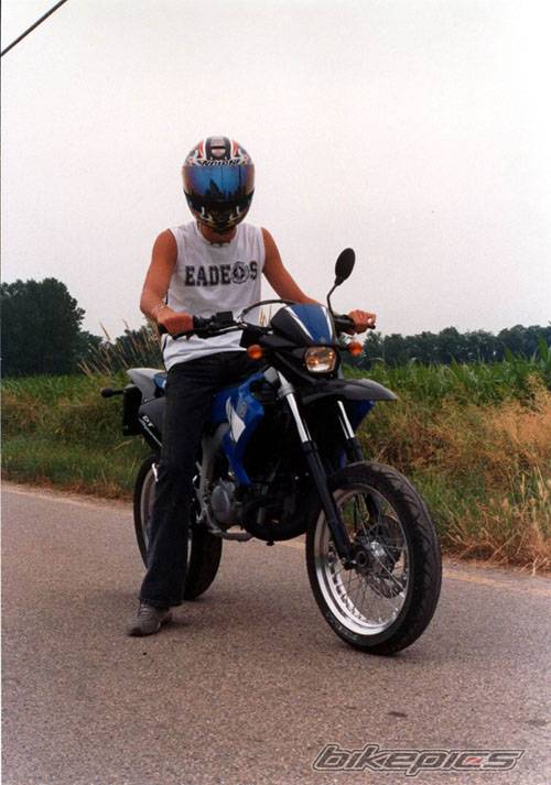Photo 169670