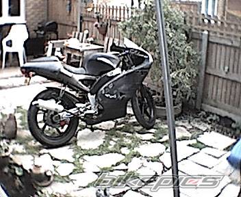 Photo 169675