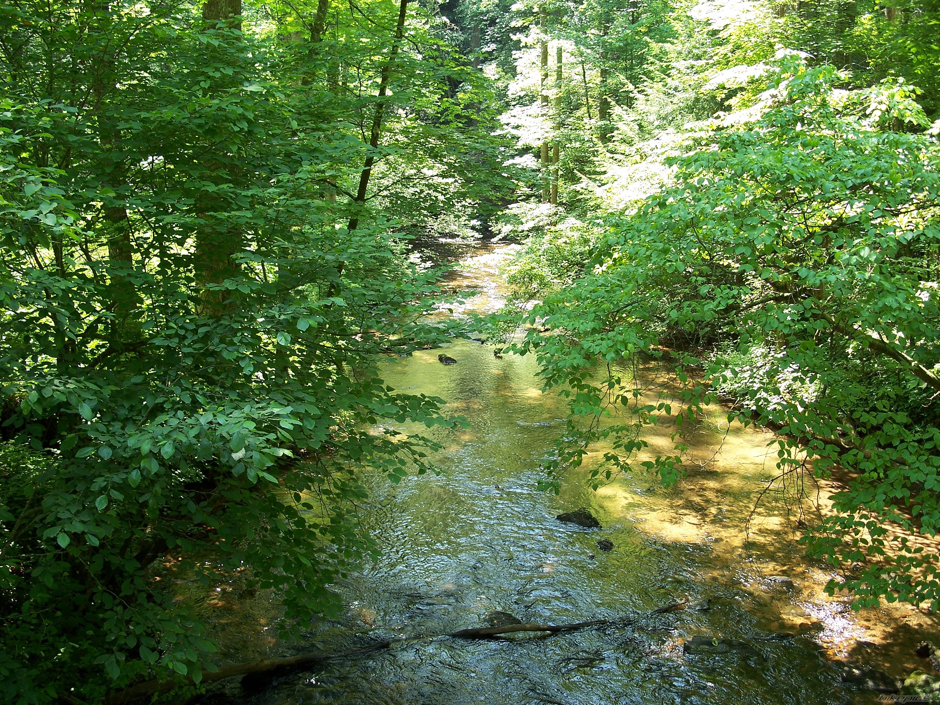 Photo 1696818