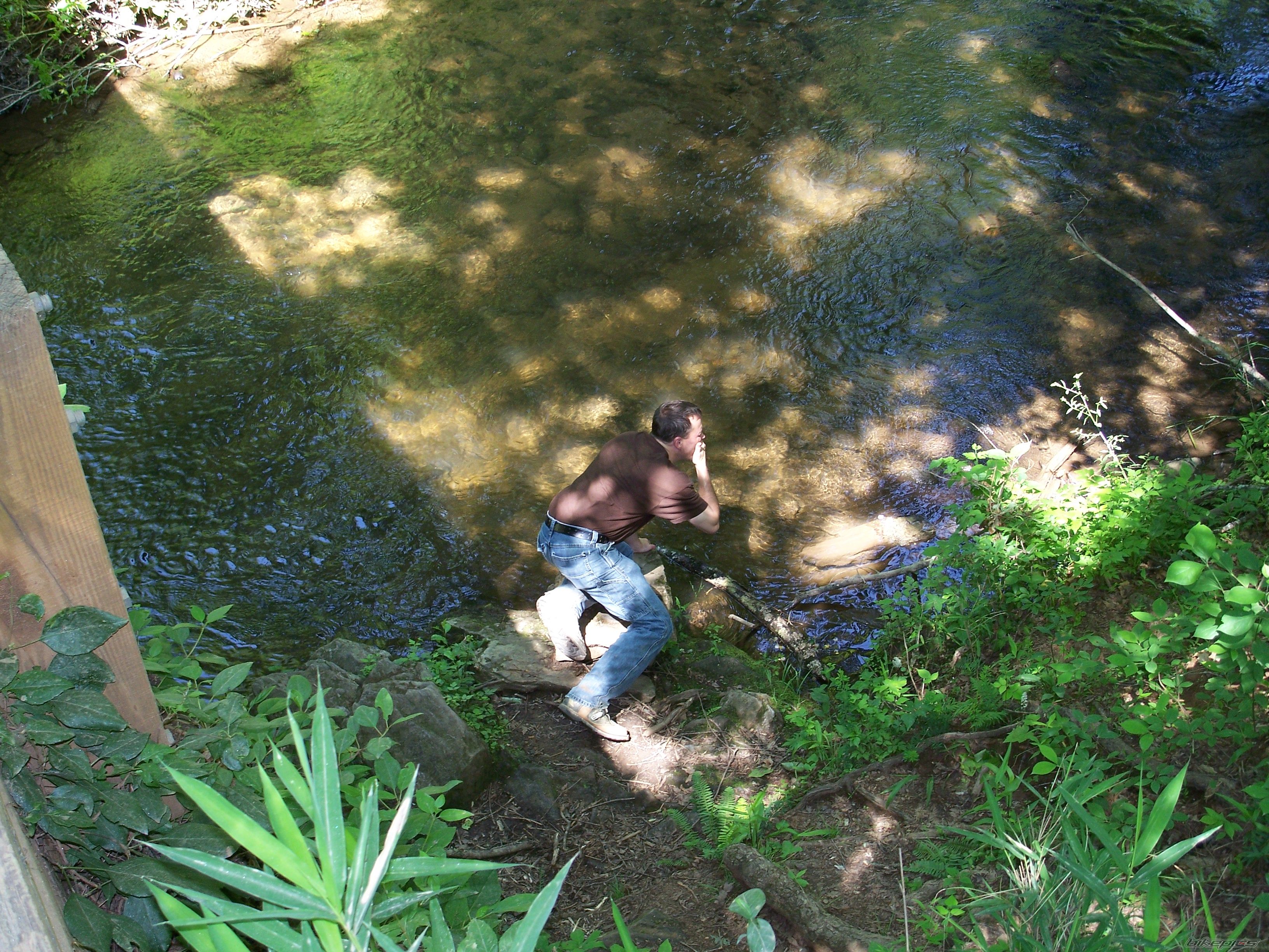 Photo 1696819
