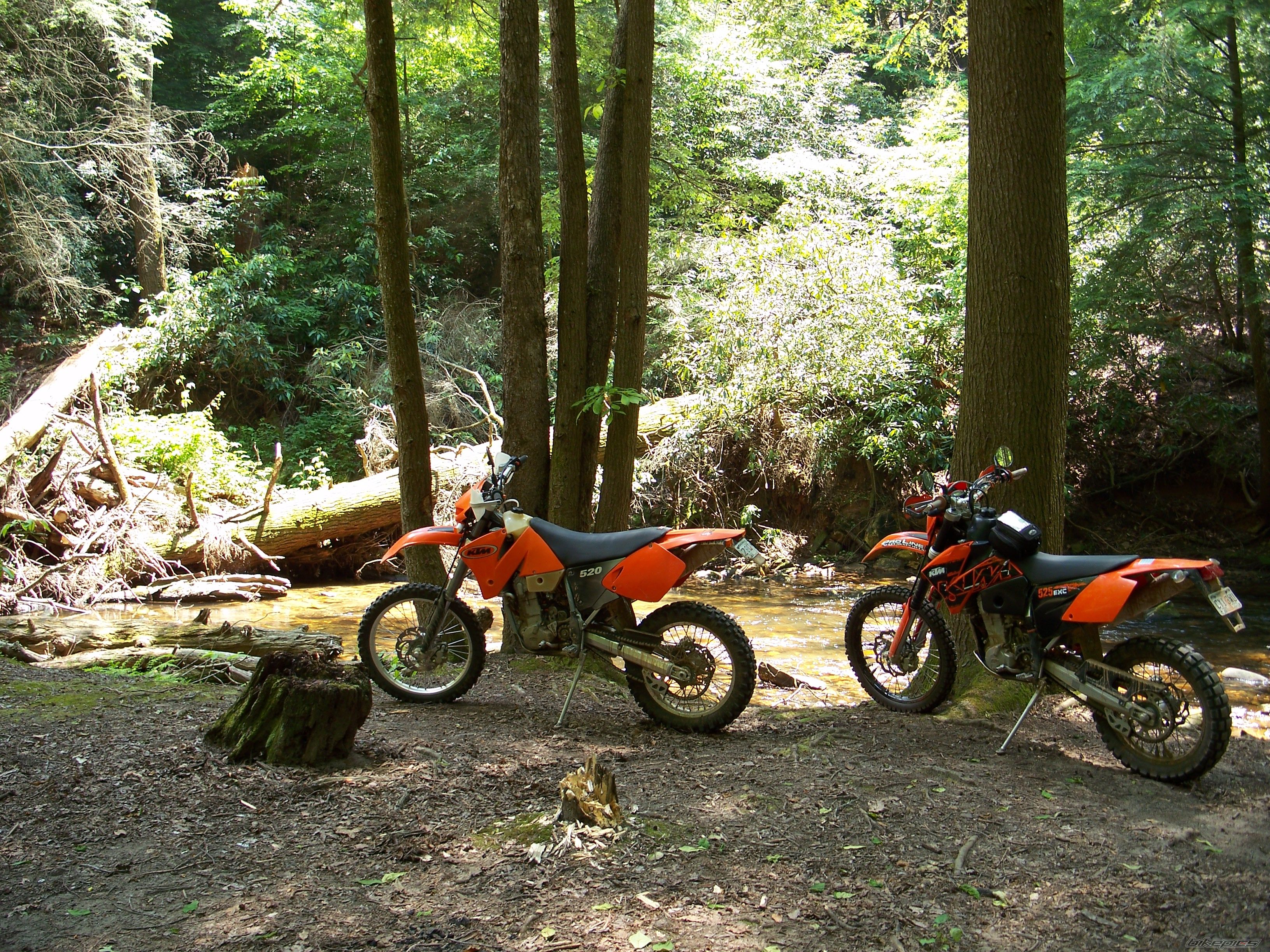 Photo 1696861
