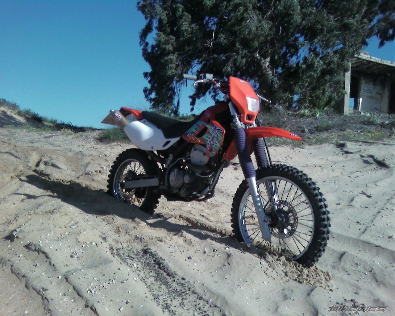 Photo 1696893