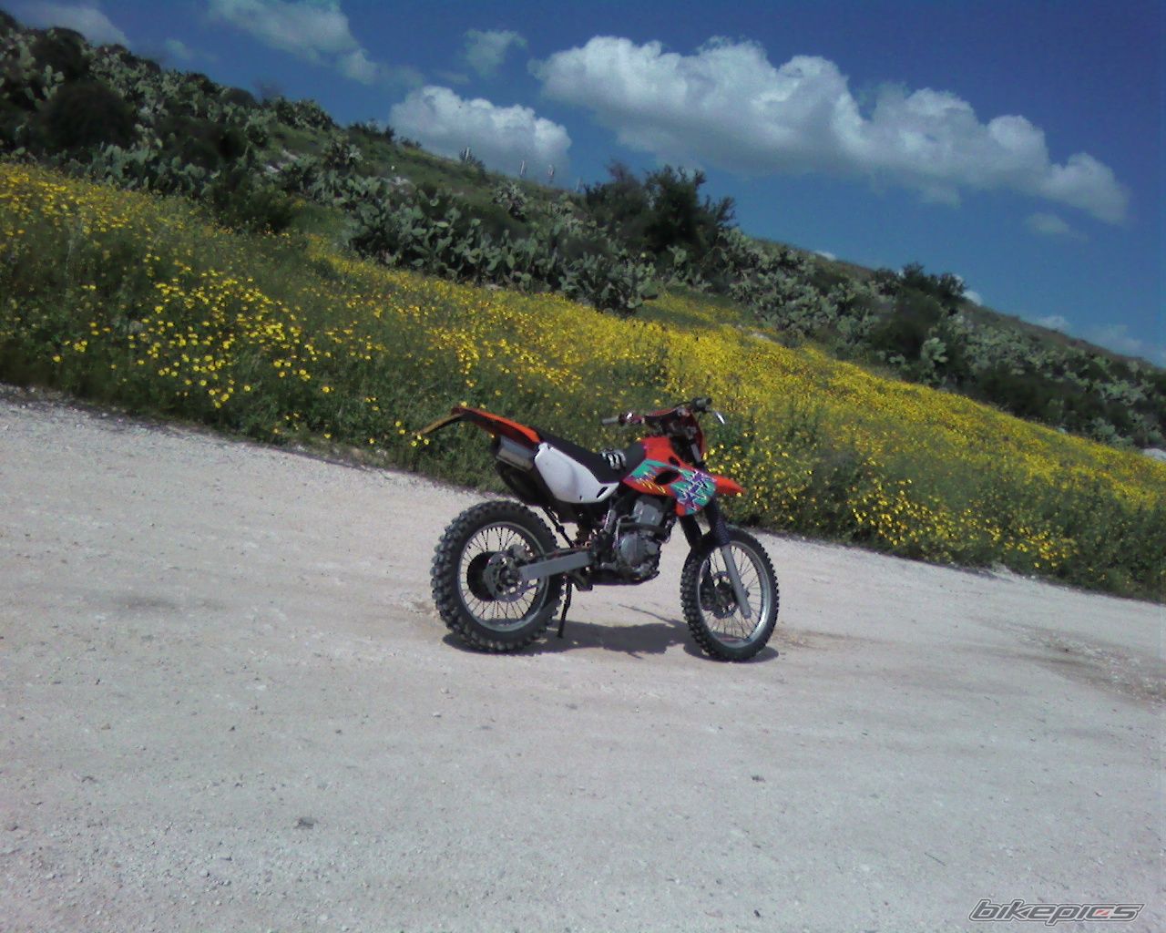Photo 1696898