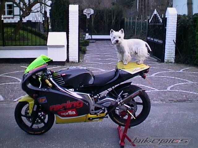 Bike Photo 1697