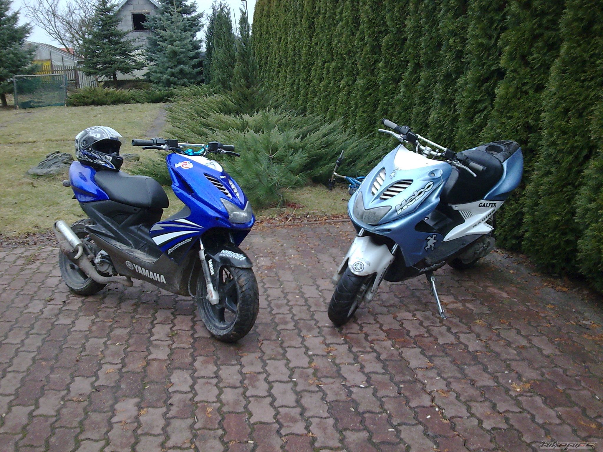 Photo 1697176