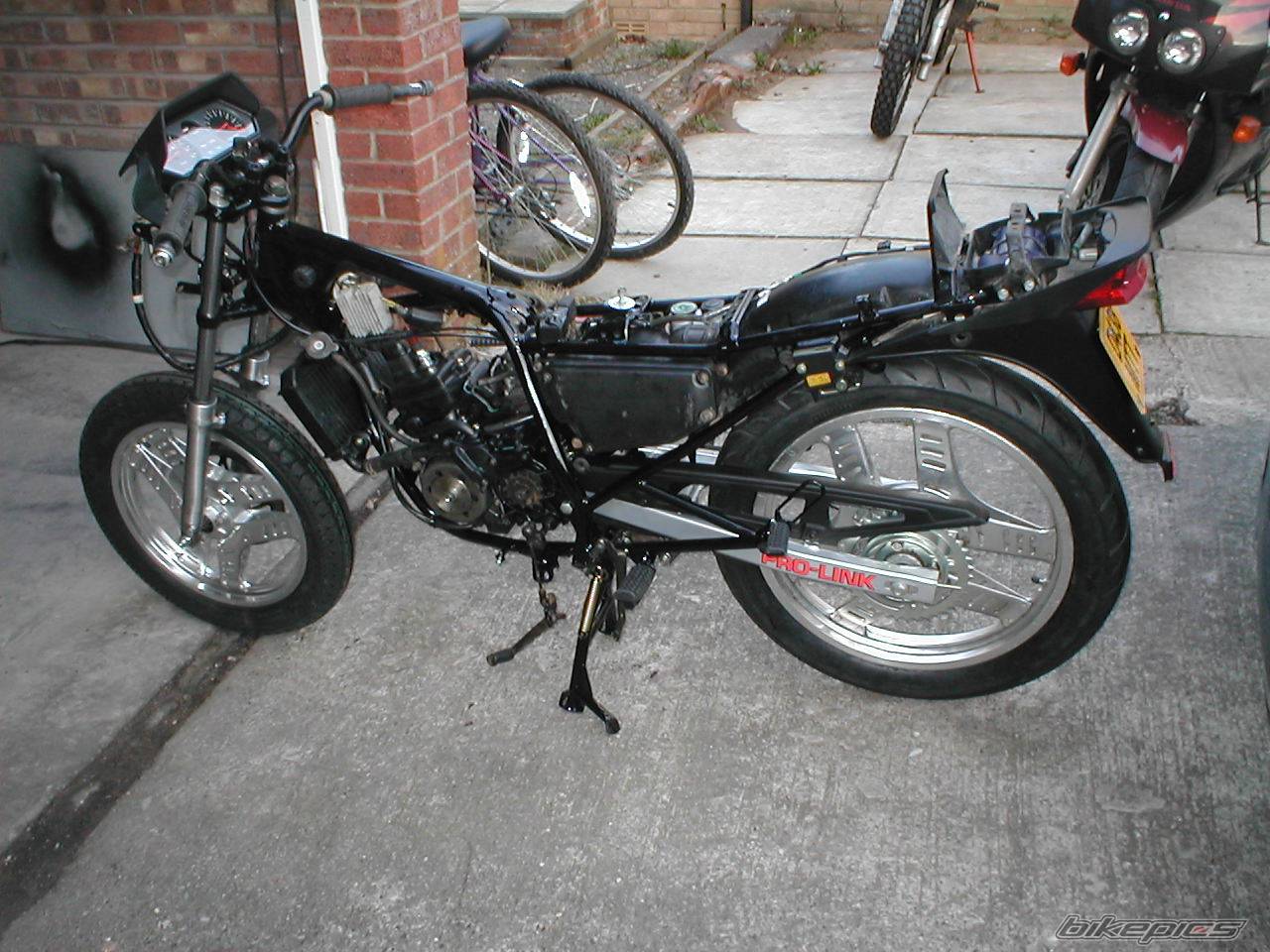 Photo 169725