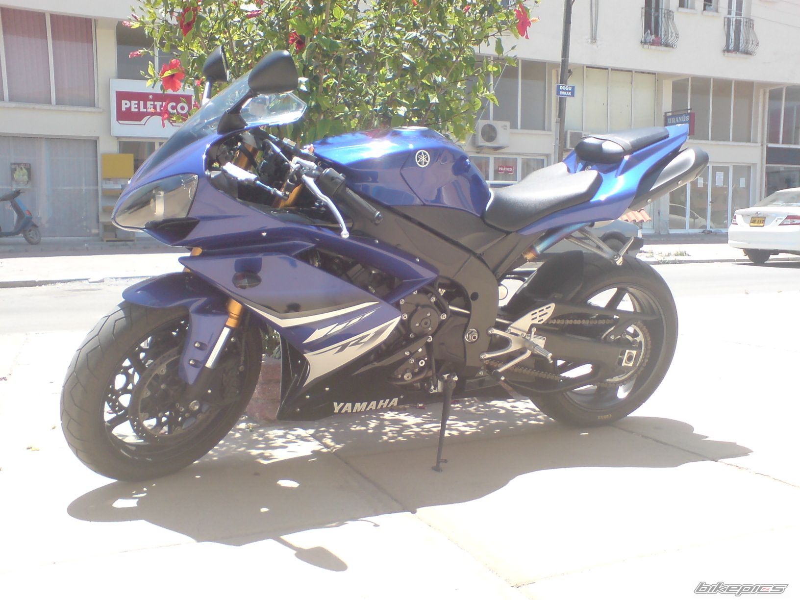 Photo 1697354