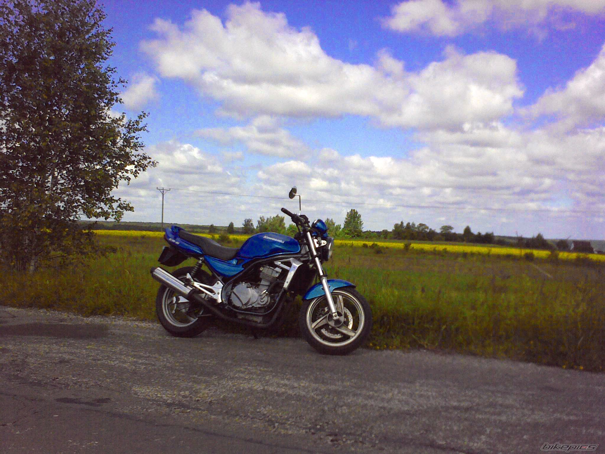 Photo 1697428