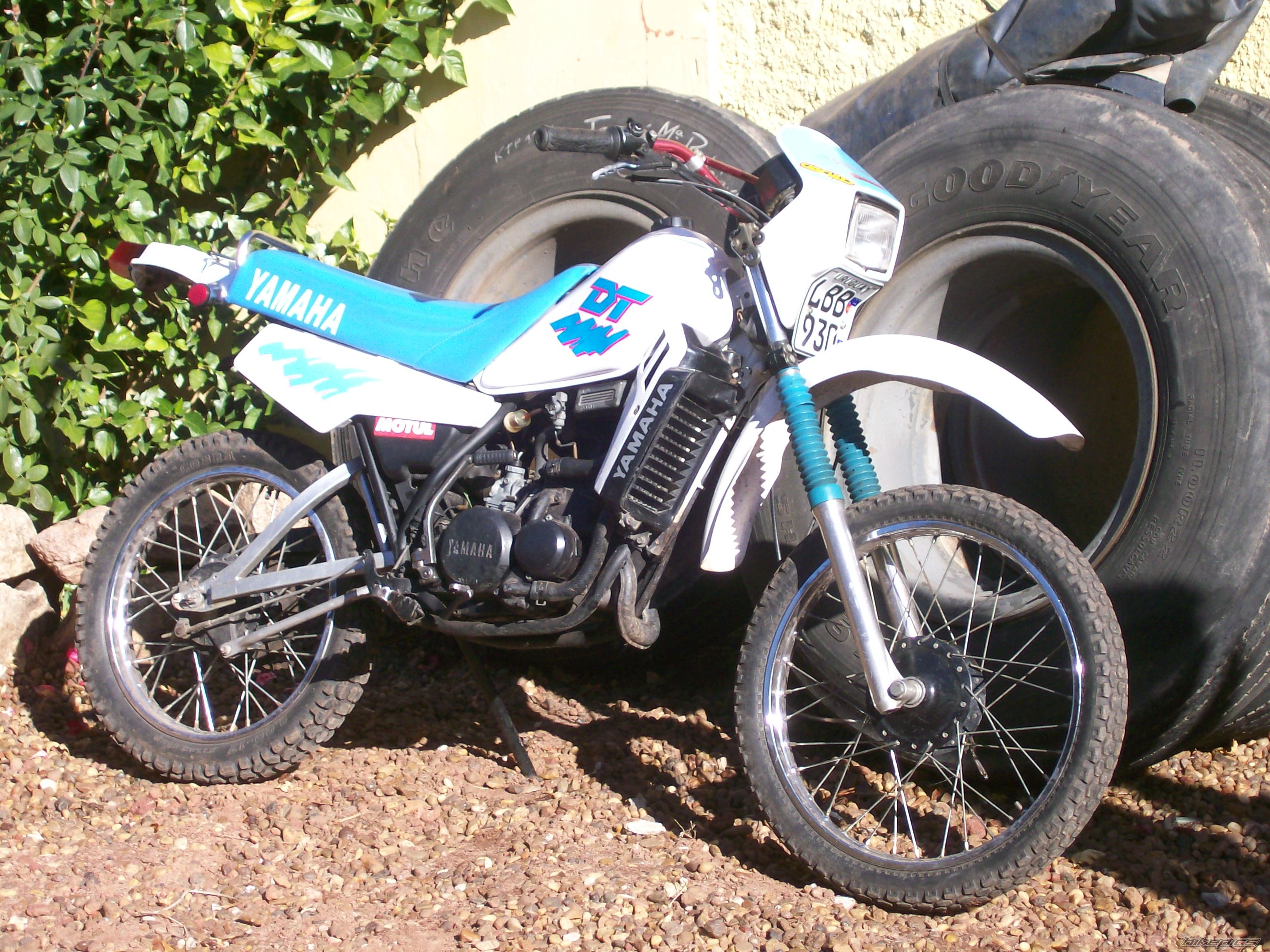 Photo 1697429