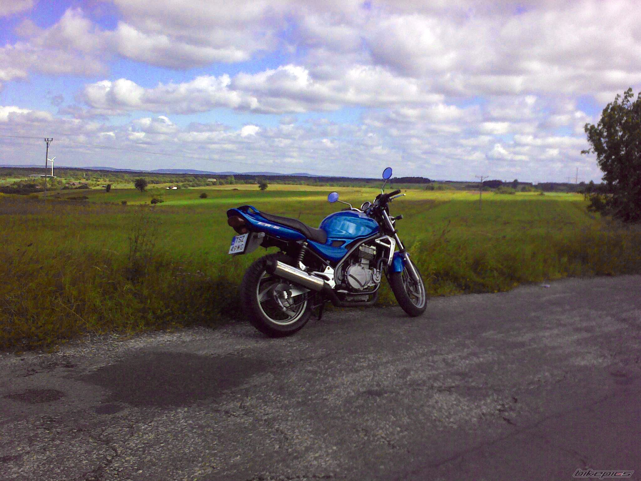 Photo 1697431