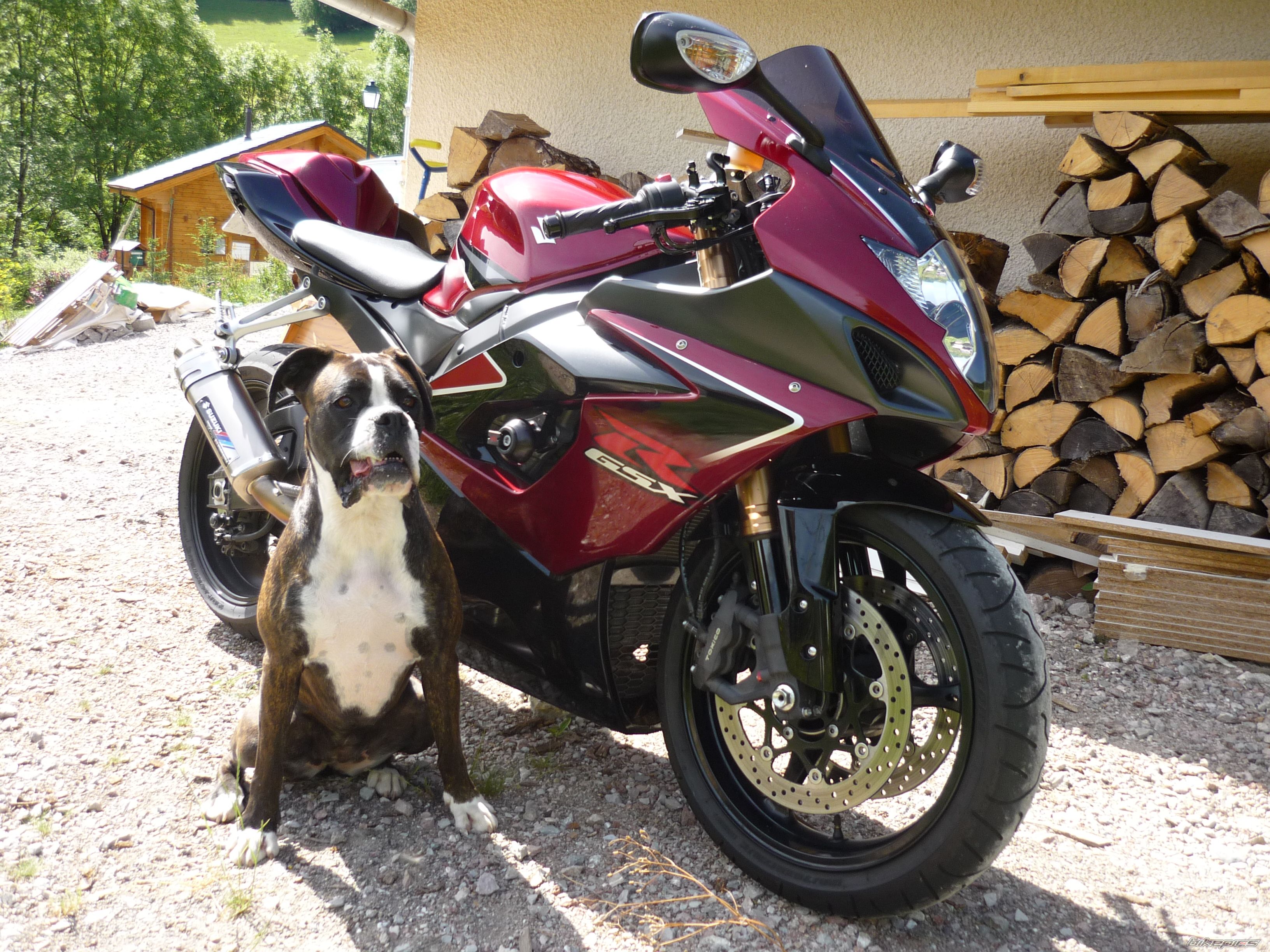 Photo 1697447