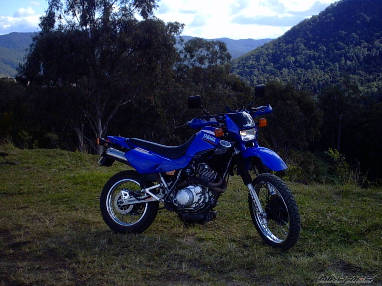 Photo 169746