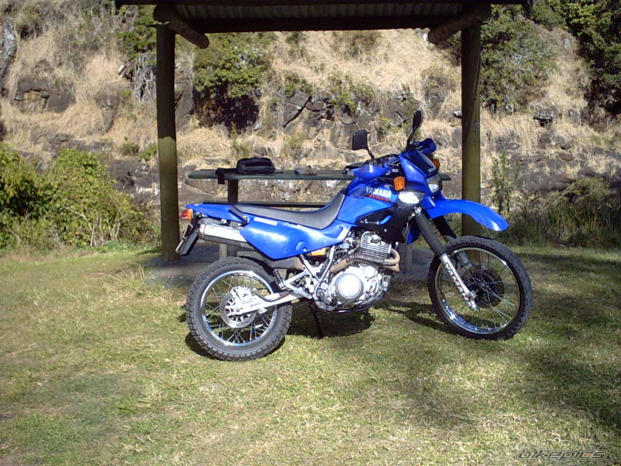 Photo 169748