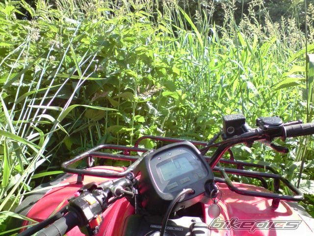 Photo 1697670