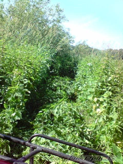 Photo 1697671