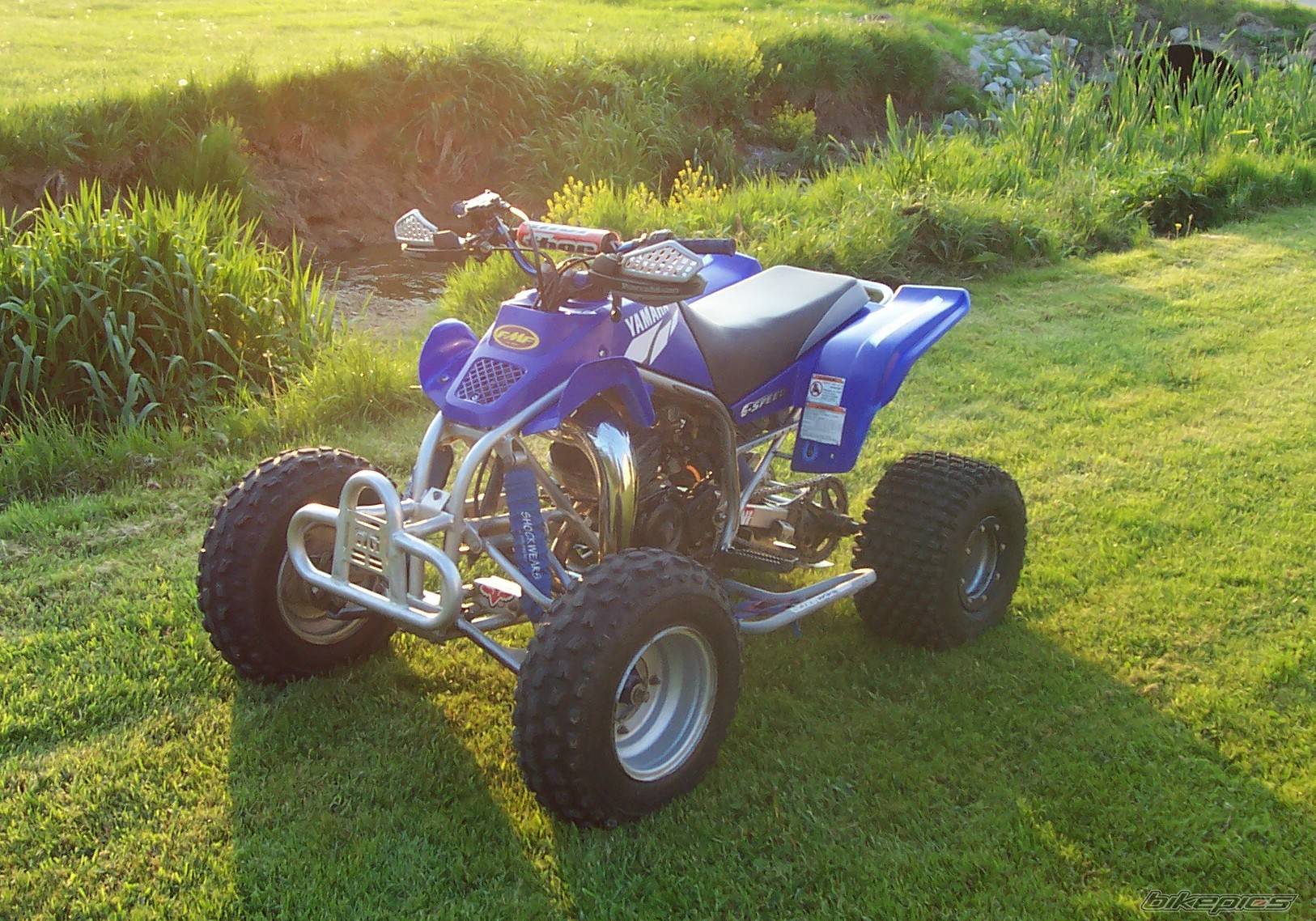 Photo 169769